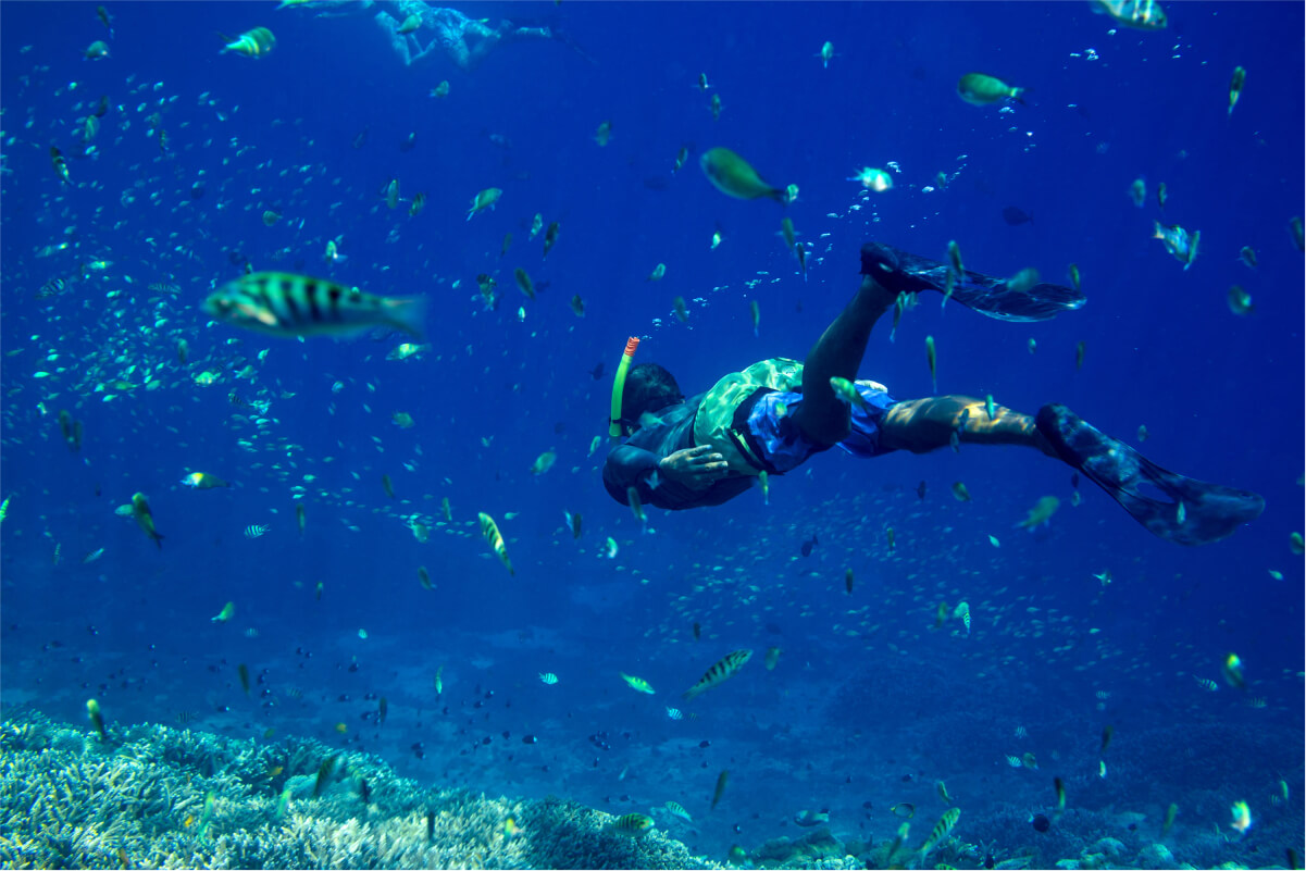 snorkeling-in-the-tropical-water-2021-08-30-15-12-50-utc